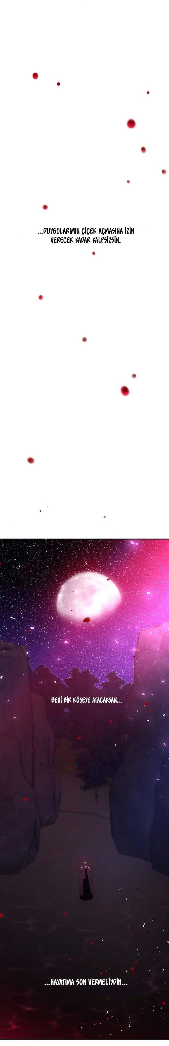 11-cmc1vvo430025phxcd4xhnki2