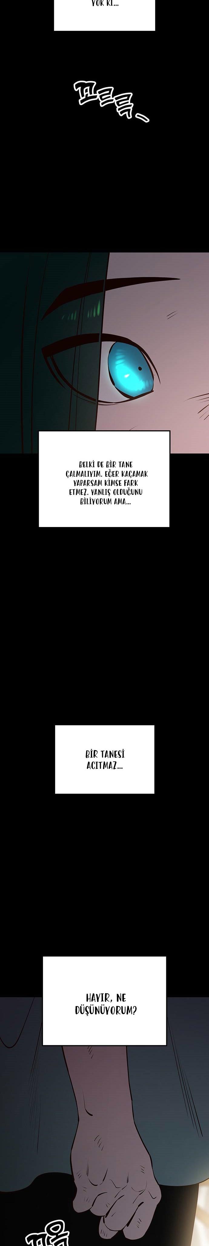 48-cmc1vvo430025phxcd4xhnki2
