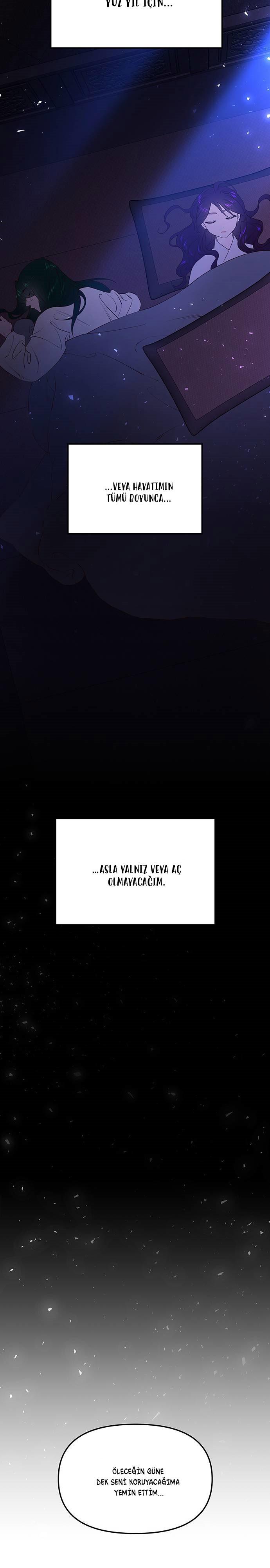 36-cmc1vvo430025phxcd4xhnki2
