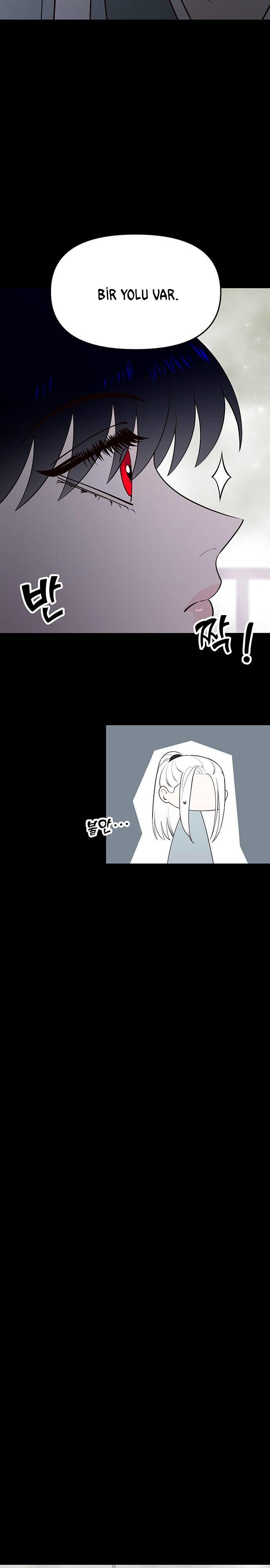 24-cmc1vvo430025phxcd4xhnki2