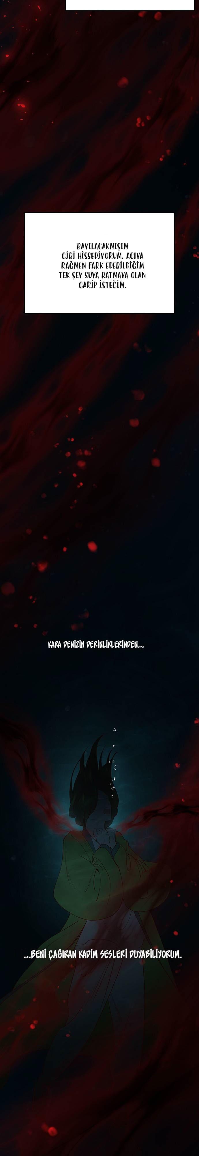 17-cmc1vvo430025phxcd4xhnki2