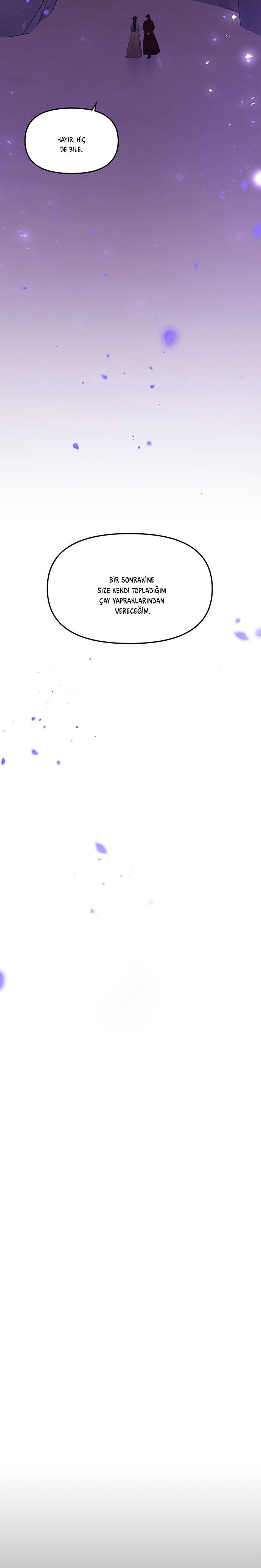 46-cmc1vvo430025phxcd4xhnki2