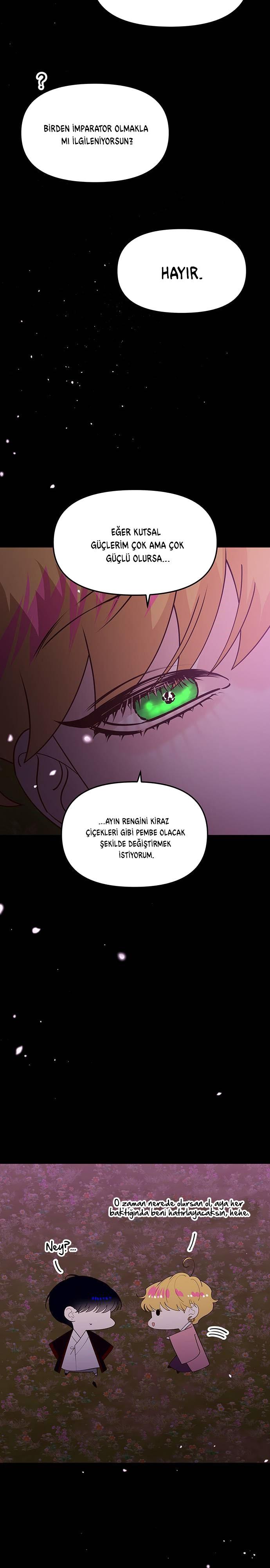 29-cmc1vvo430025phxcd4xhnki2