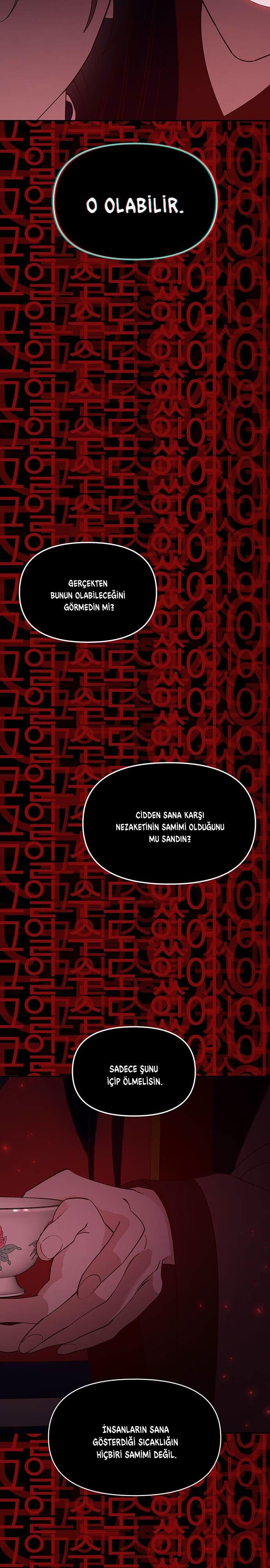7-cmc1vvo430025phxcd4xhnki2