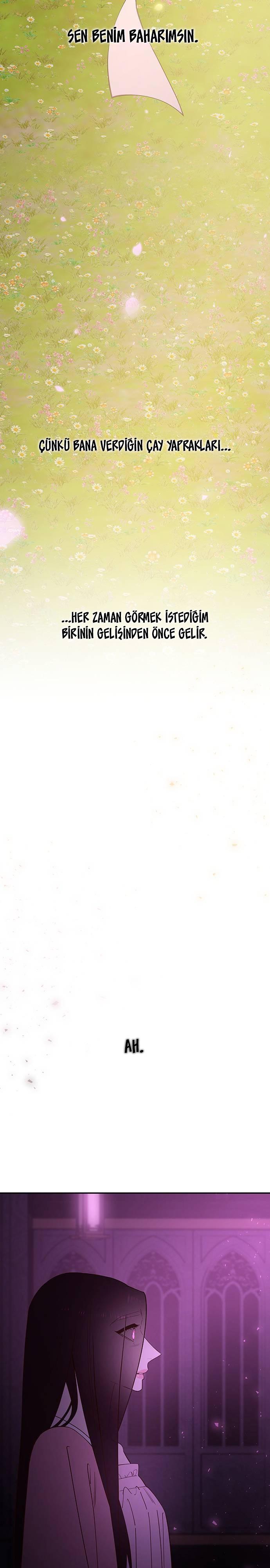 43-cmc1vvo430025phxcd4xhnki2