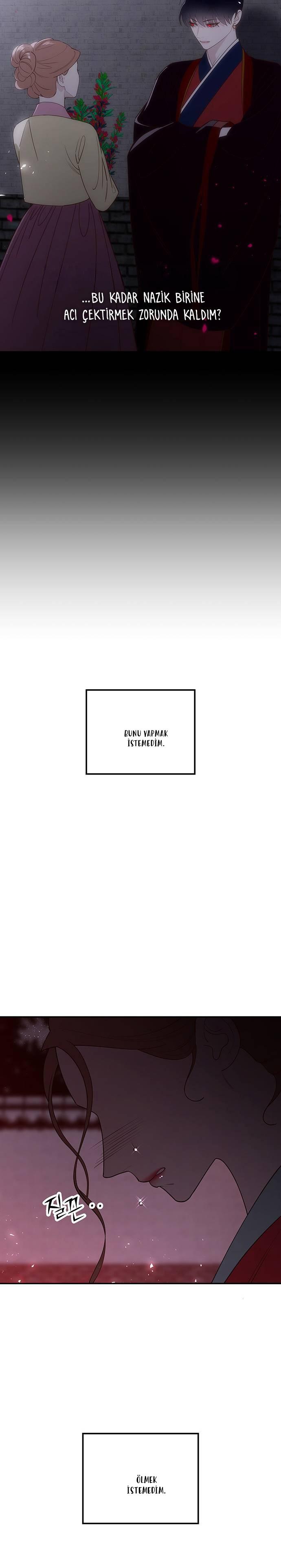 37-cmc1vvo430025phxcd4xhnki2