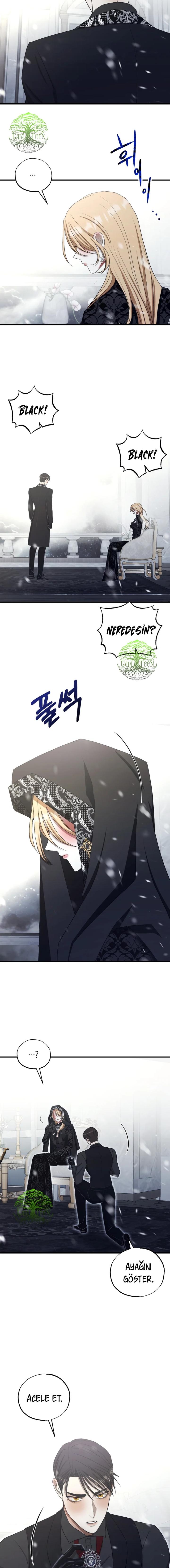 11-cmnr89xt50cr1ucwa727zlm0s