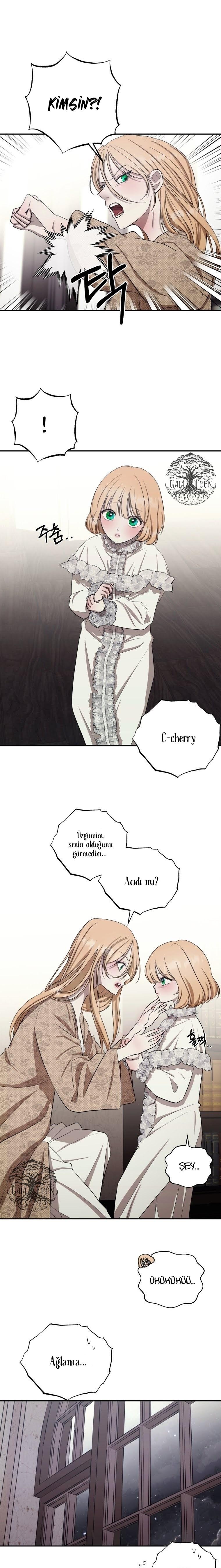 15-cmnr89xt50cr1ucwa727zlm0s