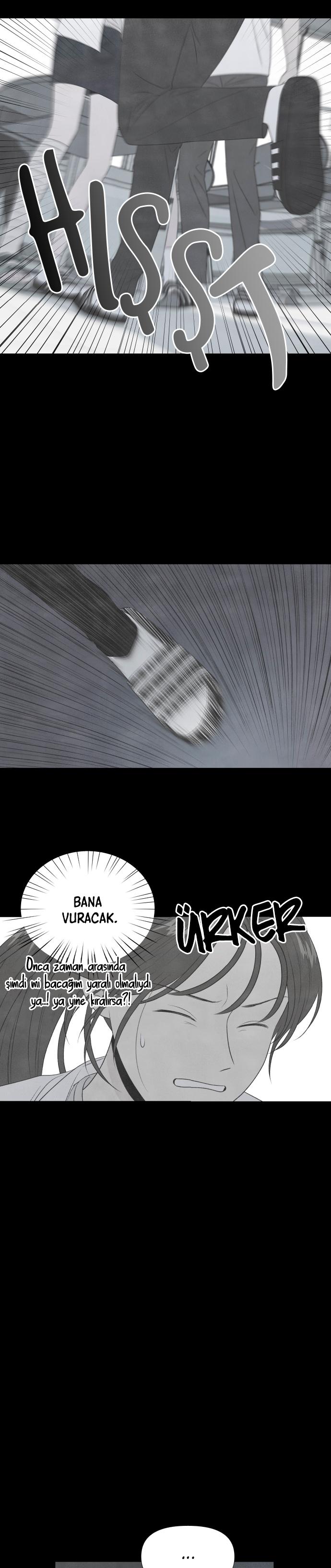 15-cmc1vvo430025phxcd4xhnki2