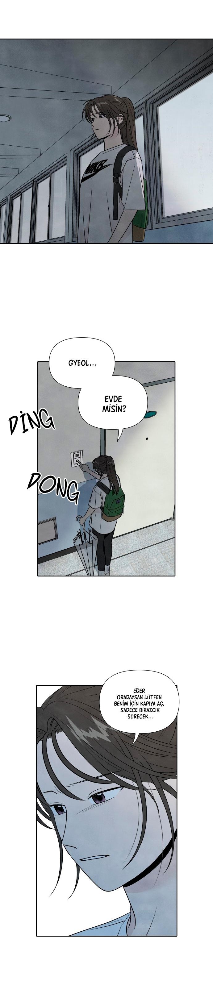 7-cmc1vvo430025phxcd4xhnki2