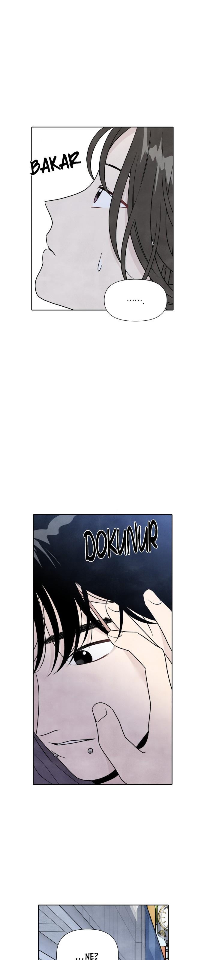 7-cmc1vvo430025phxcd4xhnki2
