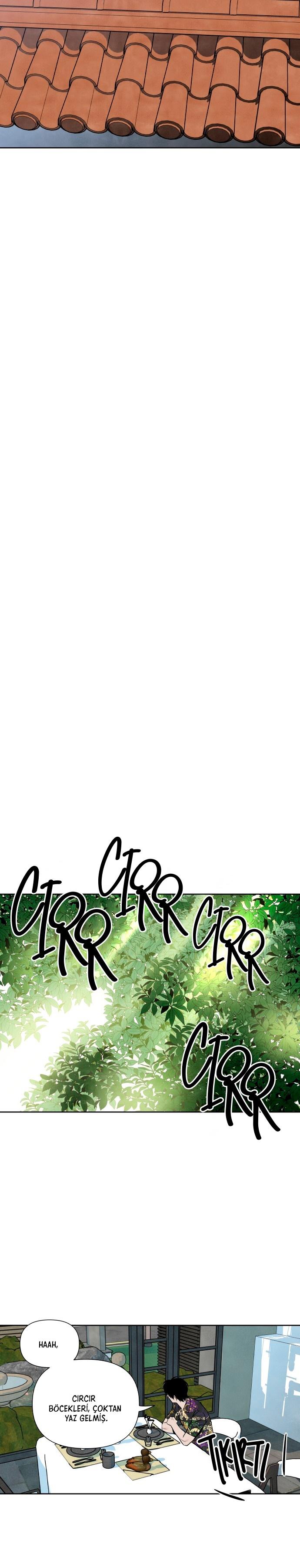 17-cmc1vvo430025phxcd4xhnki2