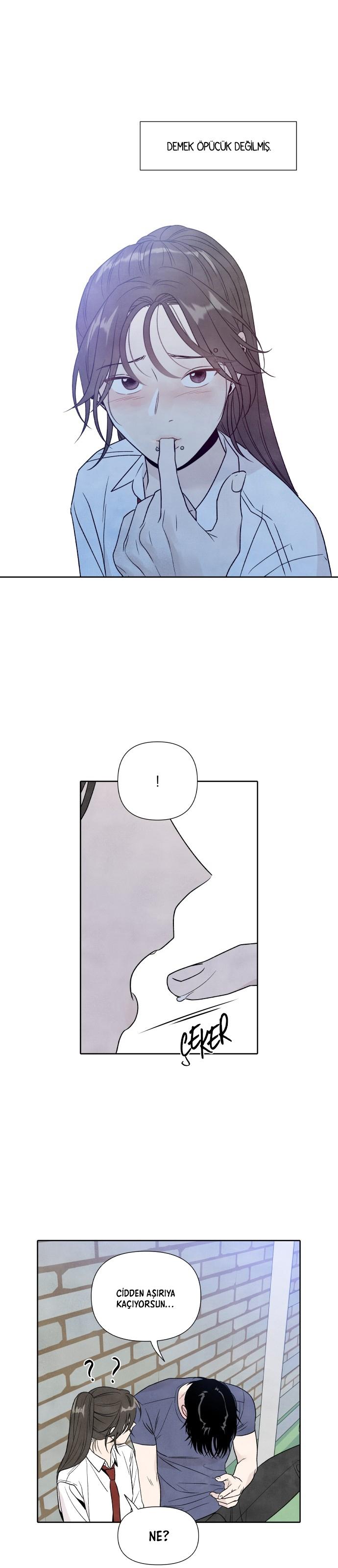 15-cmc1vvo430025phxcd4xhnki2