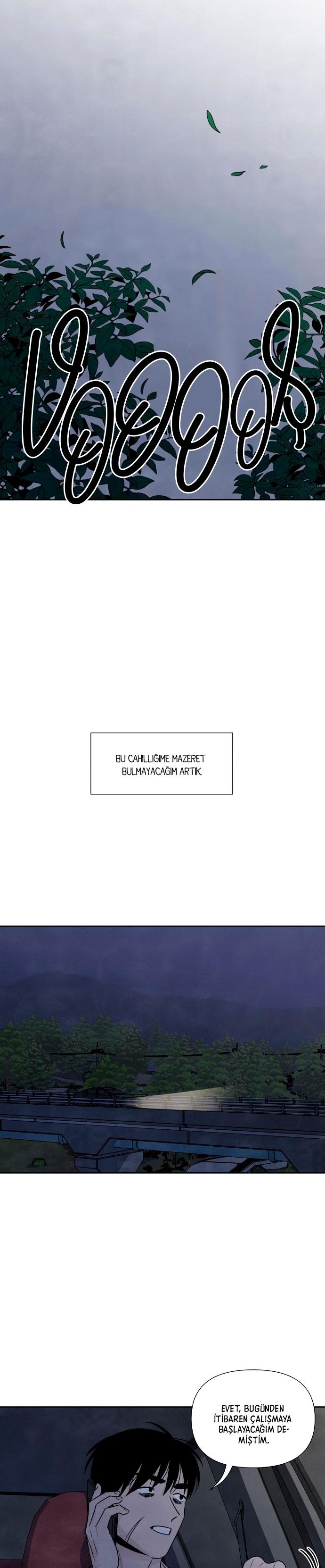 18-cmc1vvo430025phxcd4xhnki2