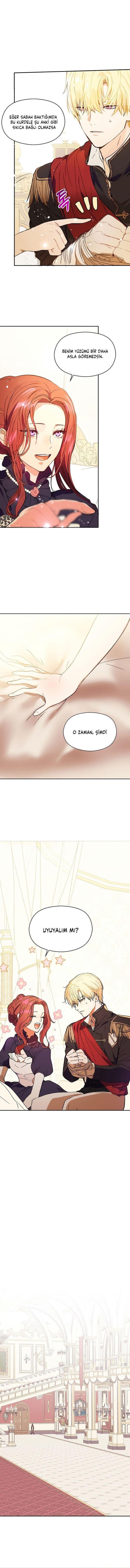 5-cmnq2268807i4ucwa0pciz3a1