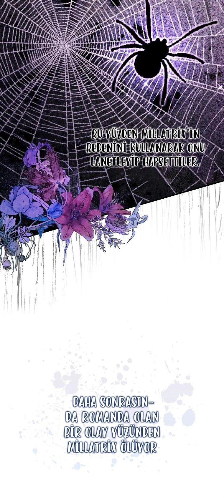 12-cmnq2268807i4ucwa0pciz3a1