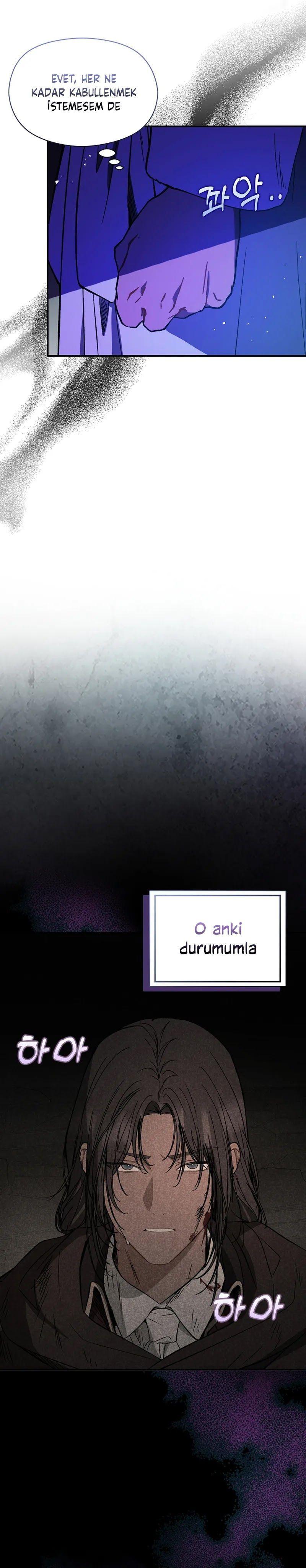 8-cmnq2268807i4ucwa0pciz3a1