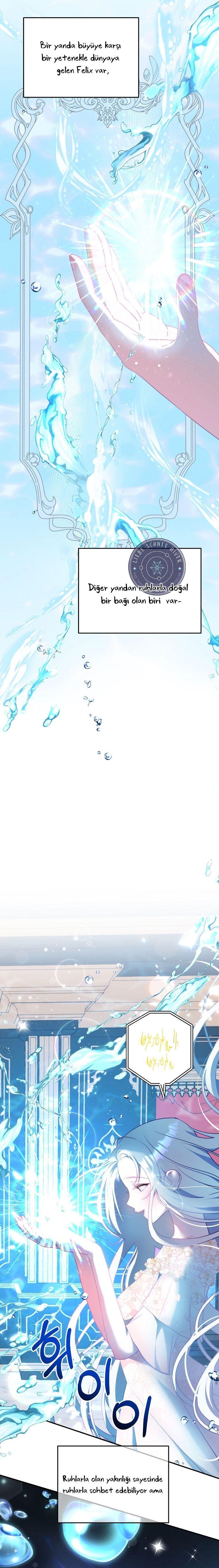 20-cmnq2268807i4ucwa0pciz3a1