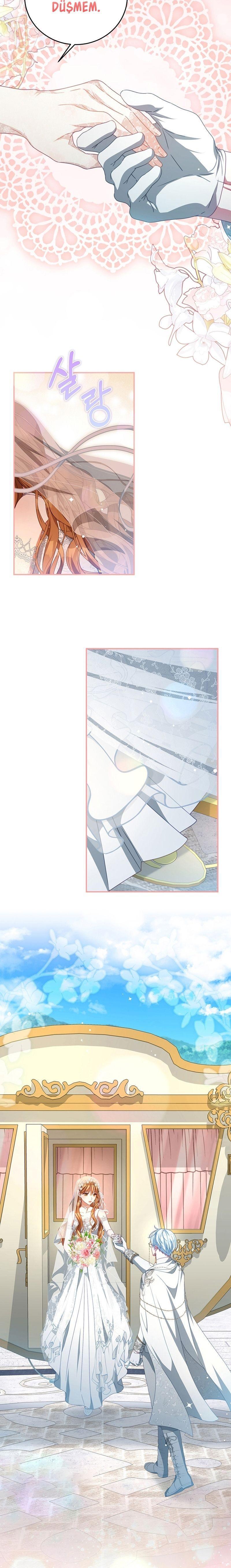 5-cmnq2268807i4ucwa0pciz3a1