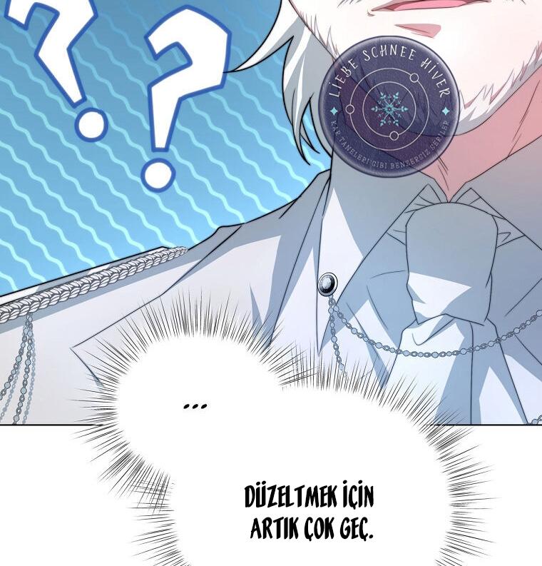 31-cmnq2268807i4ucwa0pciz3a1