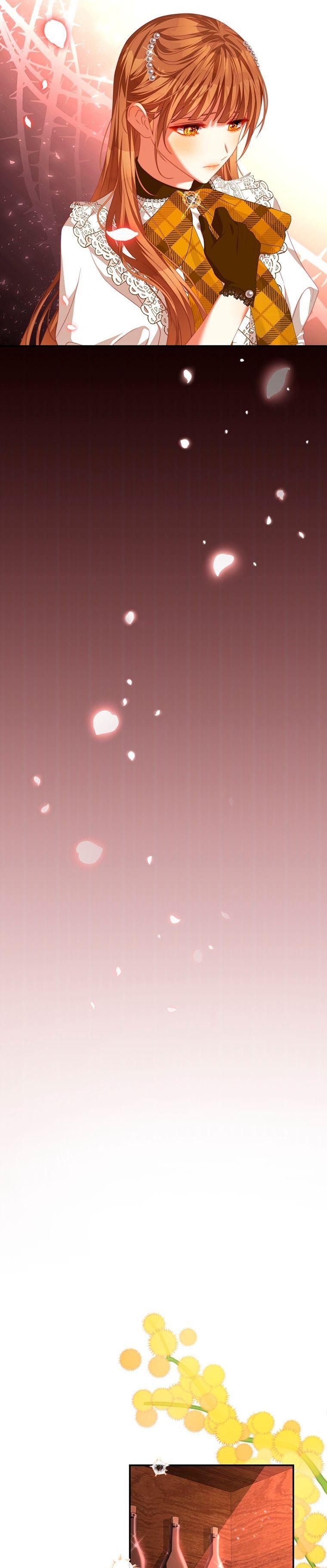 16-cmnq2268807i4ucwa0pciz3a1