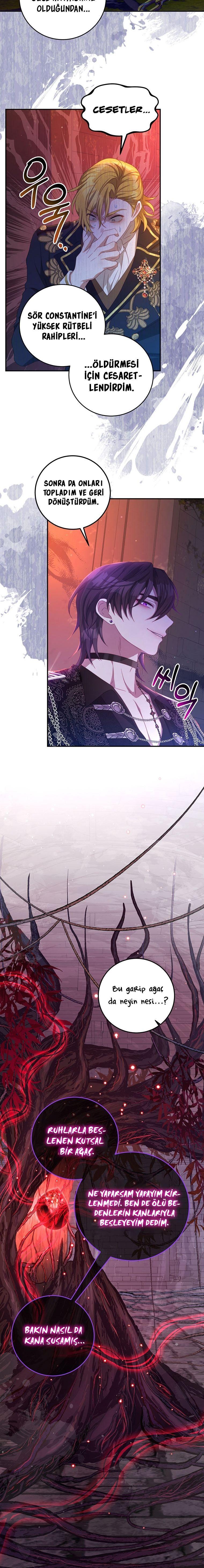 11-cmnq2268807i4ucwa0pciz3a1