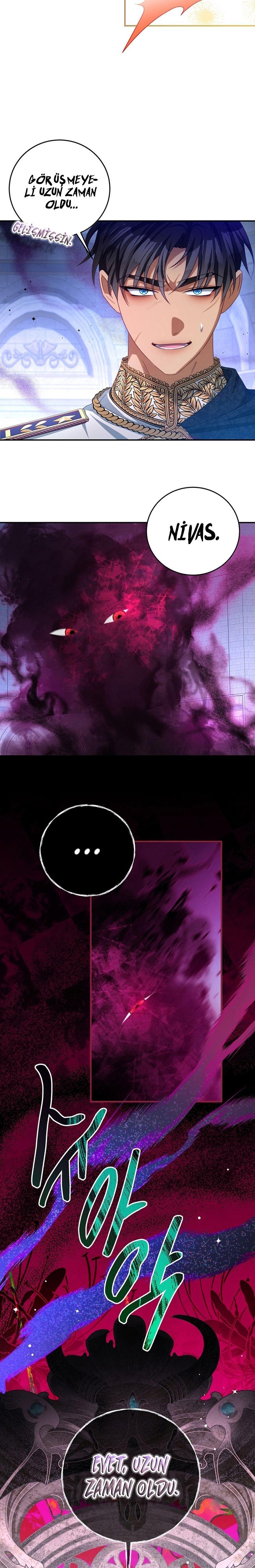 20-cmnq2268807i4ucwa0pciz3a1