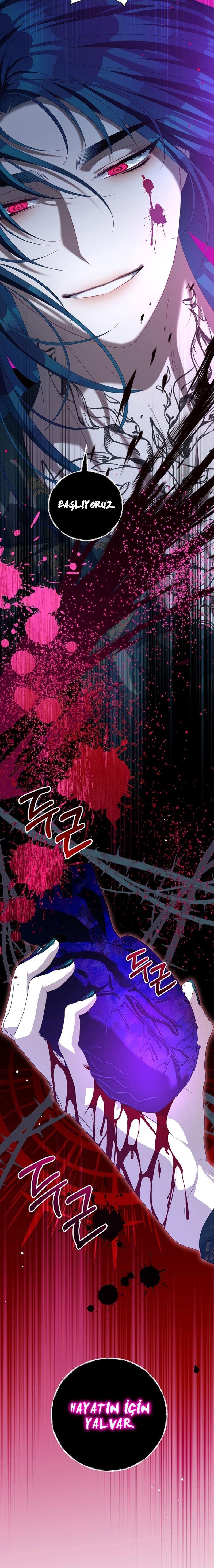 11-cmnq2268807i4ucwa0pciz3a1