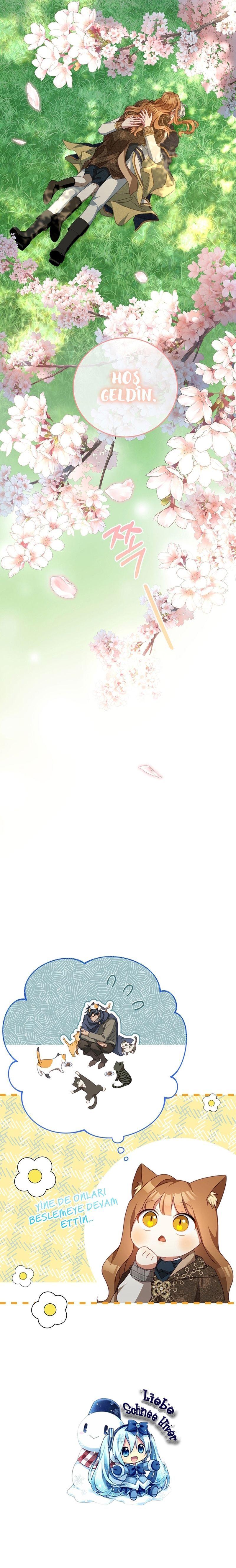 21-cmnq2268807i4ucwa0pciz3a1