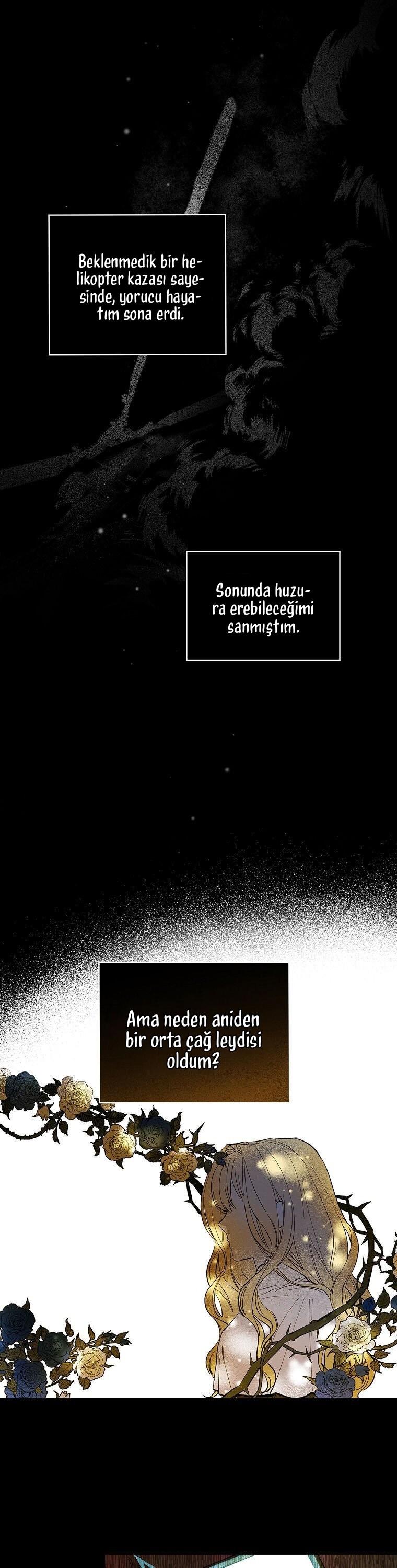 13-cm2xdfr0s0001tt82570od8ls