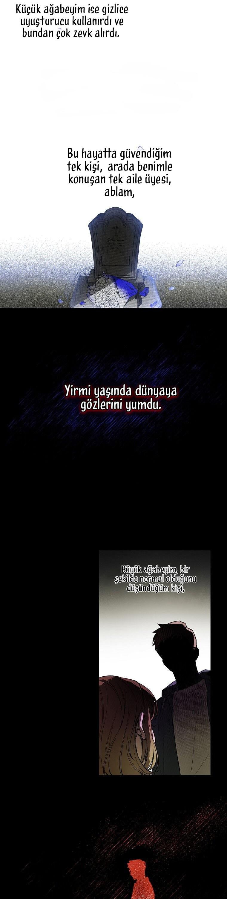 22-cm2xdfr0s0001tt82570od8ls