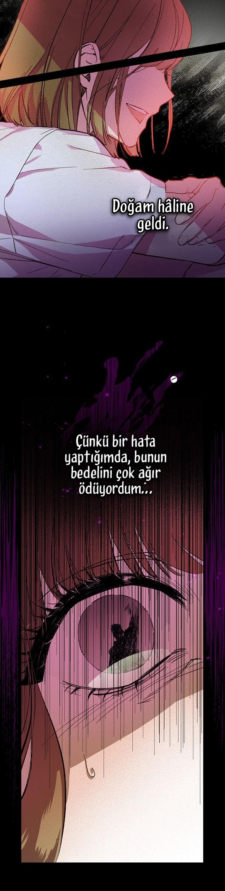 24-cm2xdfr0s0001tt82570od8ls