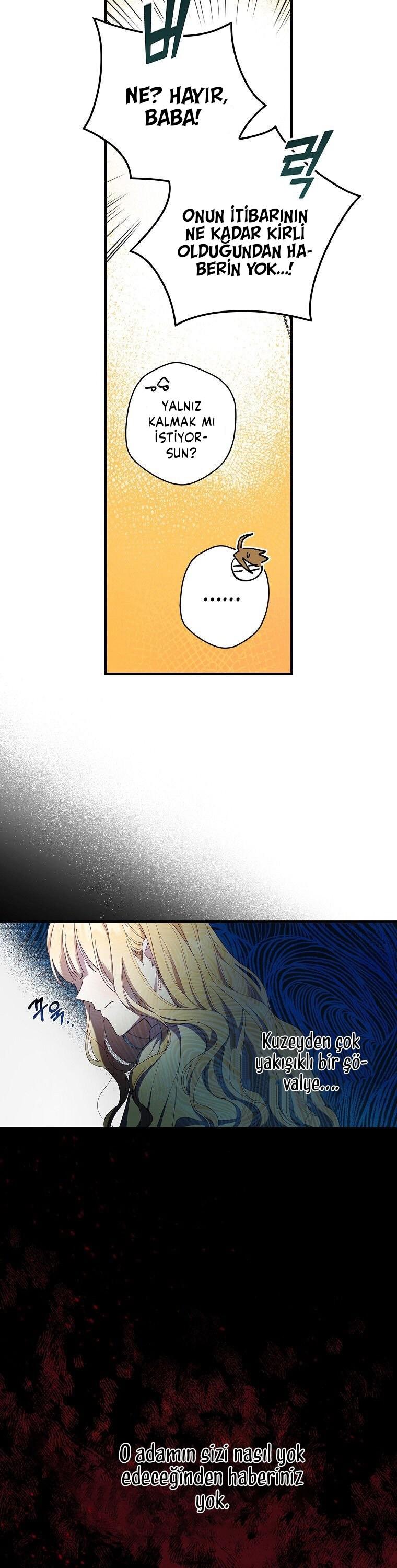 7-cm2xdfr0s0001tt82570od8ls