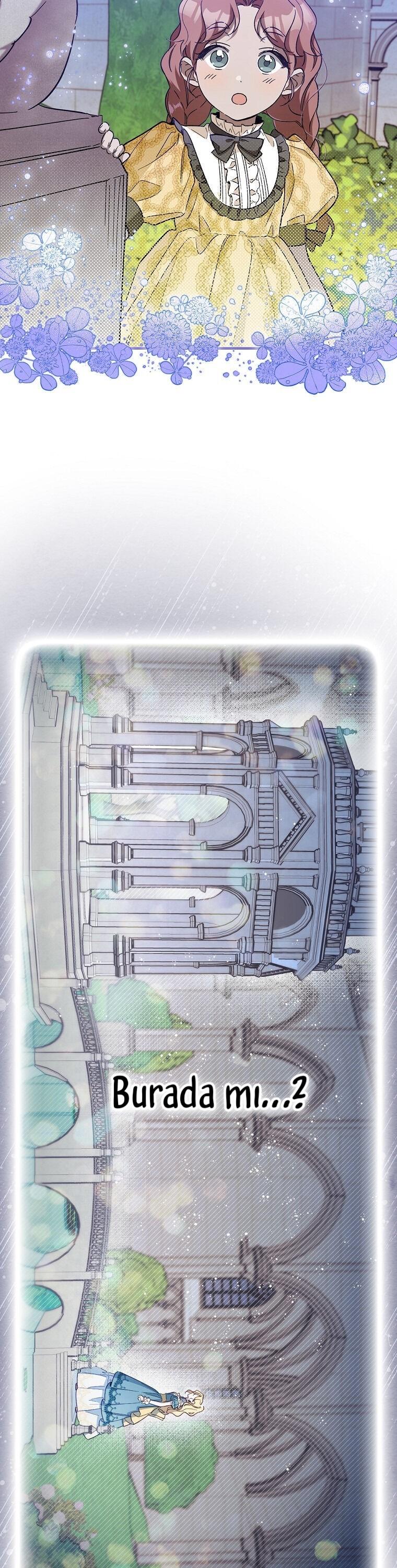 7-cm2xdfr0s0001tt82570od8ls