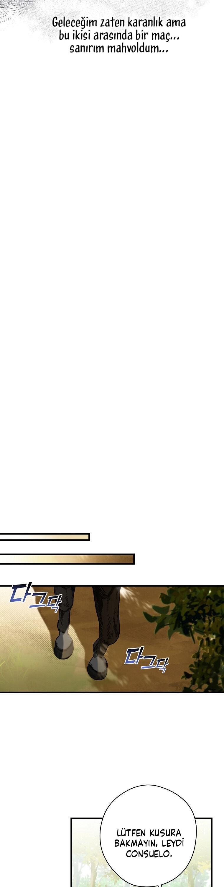 17-cm2xdfr0s0001tt82570od8ls