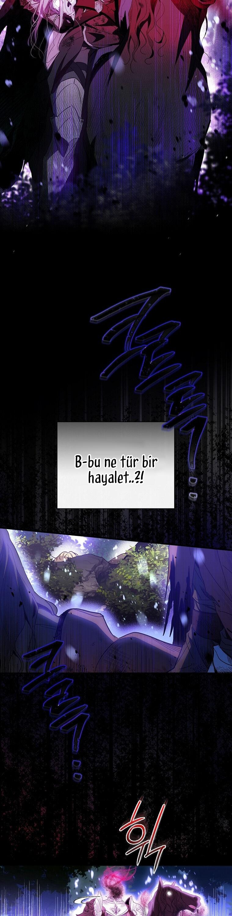 13-cm2xdfr0s0001tt82570od8ls