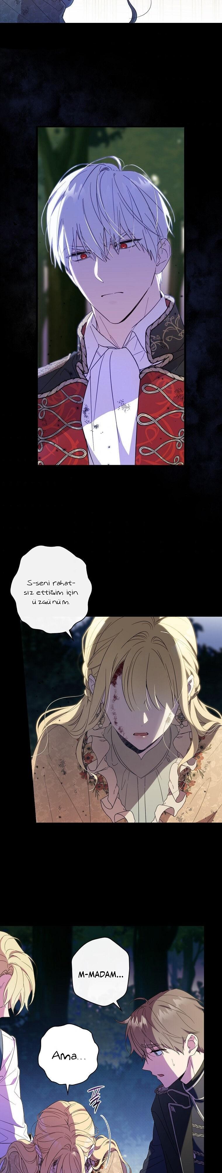 3-cm2xdfr0s0001tt82570od8ls