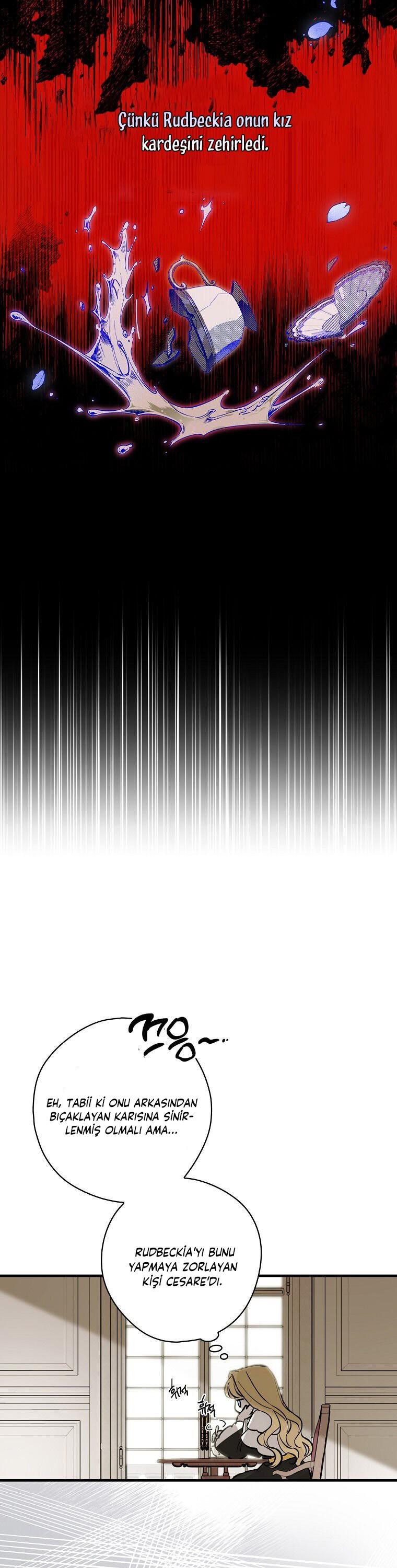 14-cm2xdfr0s0001tt82570od8ls