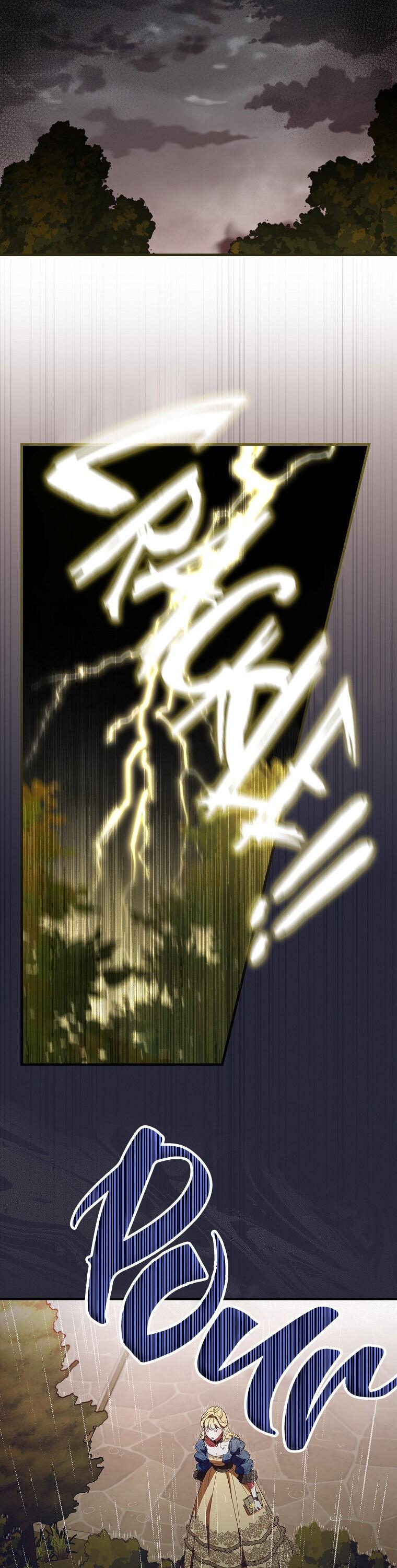 13-cm2xdfr0s0001tt82570od8ls