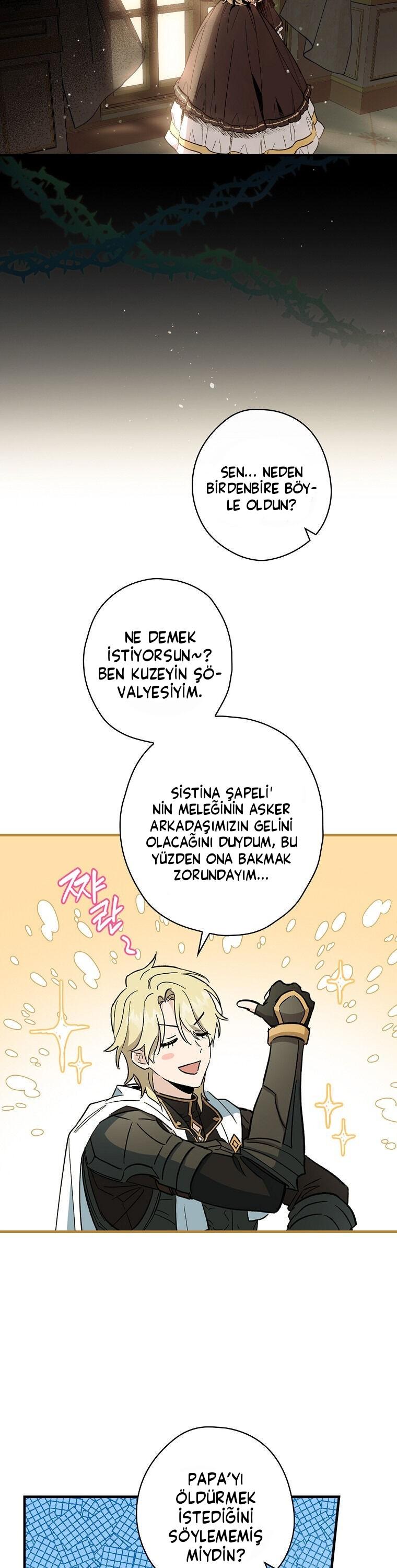 21-cm2xdfr0s0001tt82570od8ls