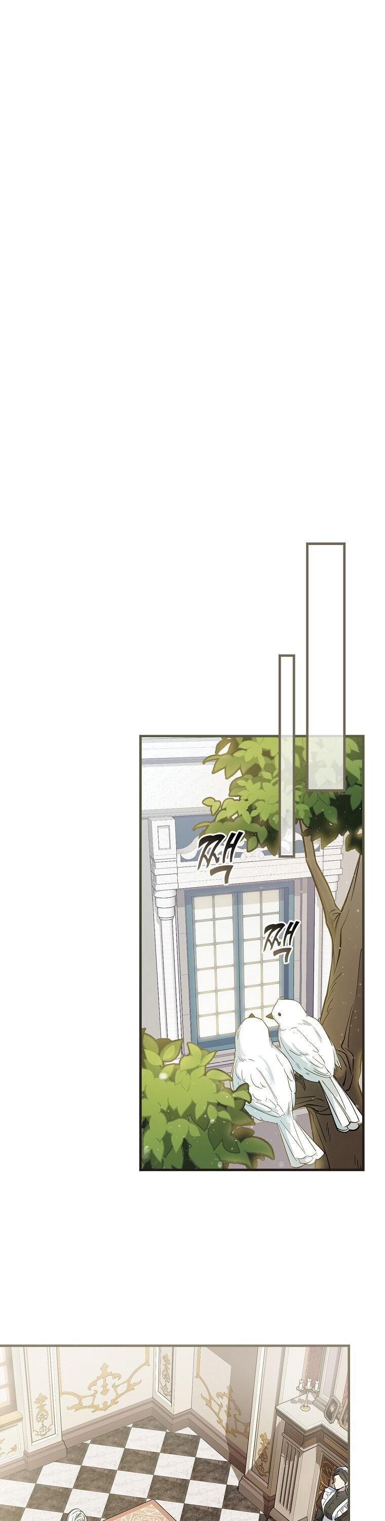 23-cm2xdfr0s0001tt82570od8ls