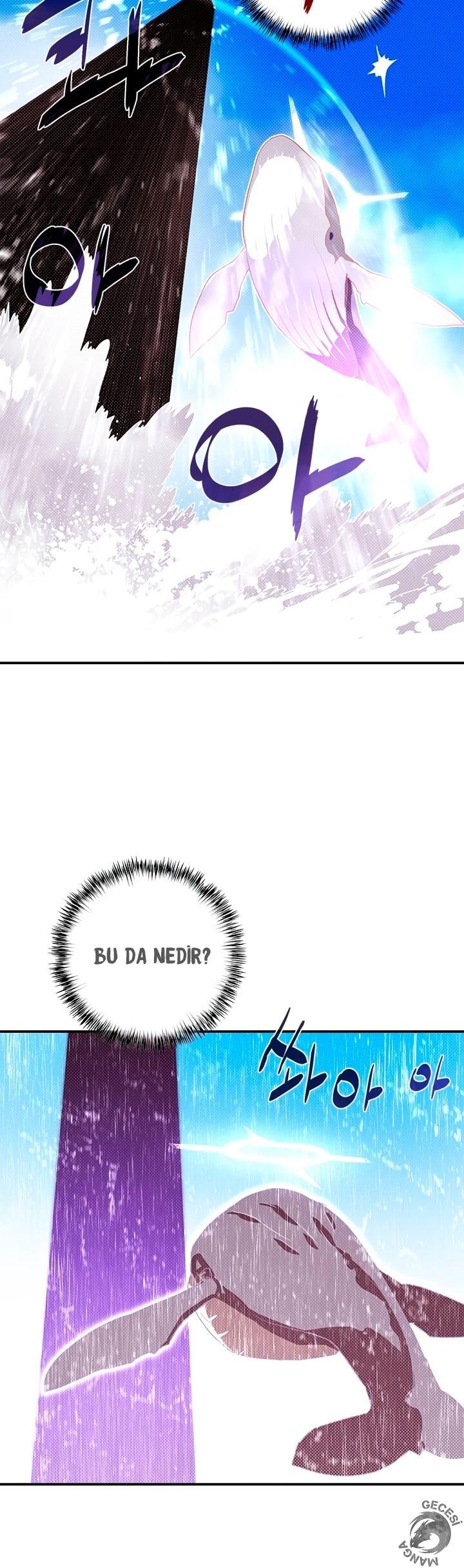 19-cm2xdfr0s0001tt82570od8ls