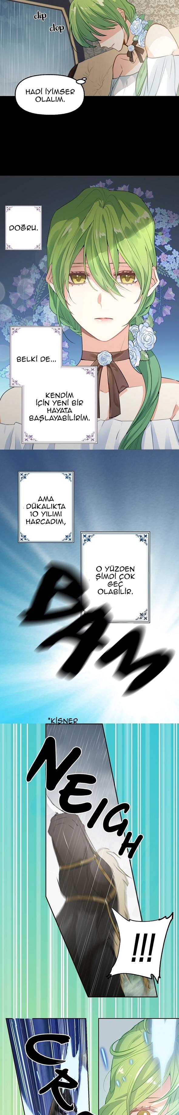 7-cmc1vvo430025phxcd4xhnki2