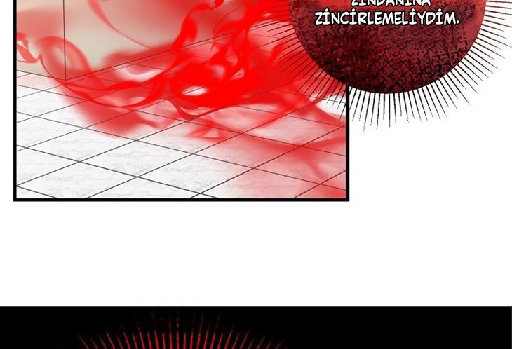 20-cmc1vvo430025phxcd4xhnki2