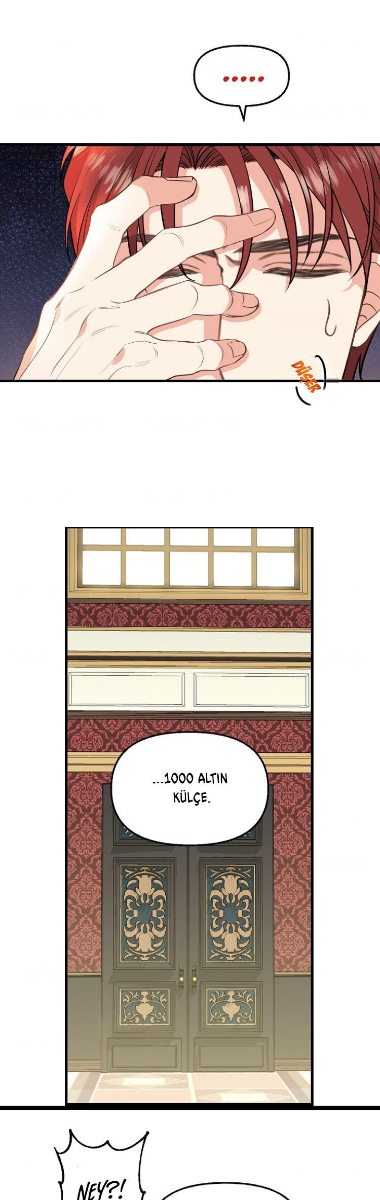 16-cmc1vvo430025phxcd4xhnki2