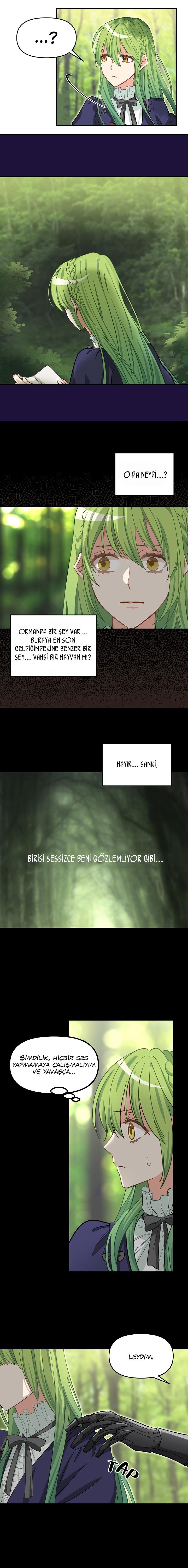 3-cmc1vvo430025phxcd4xhnki2