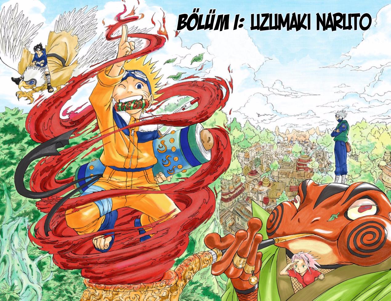 5-cm2w87z2900028hvt2ic0iro3