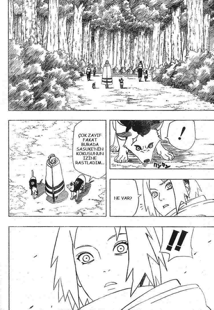 13-cm2glktsy0000w55ok53k5h9r