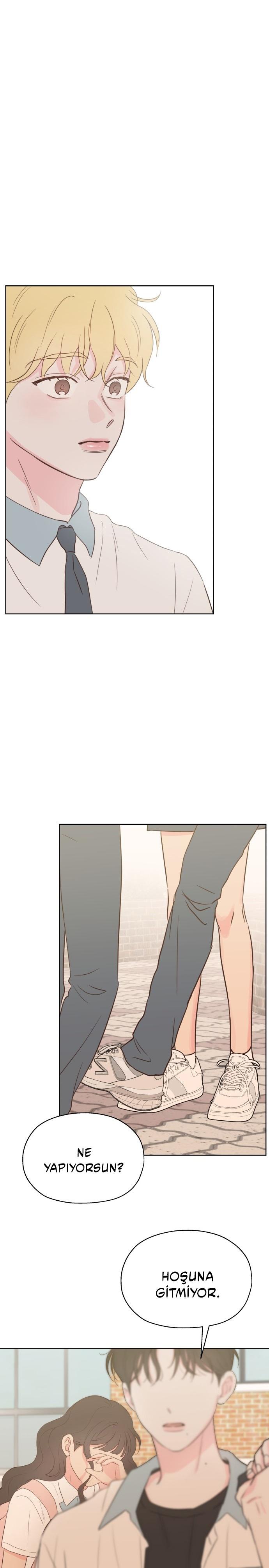 37-cm2xdfr0s0001tt82570od8ls