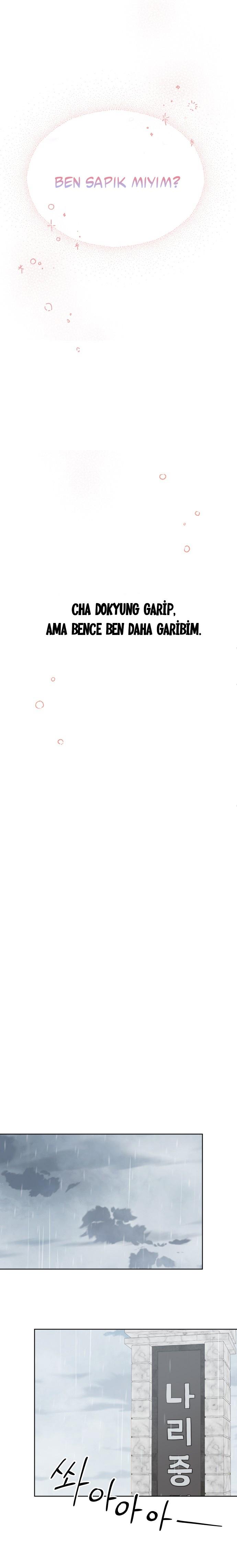 23-cm2xdfr0s0001tt82570od8ls